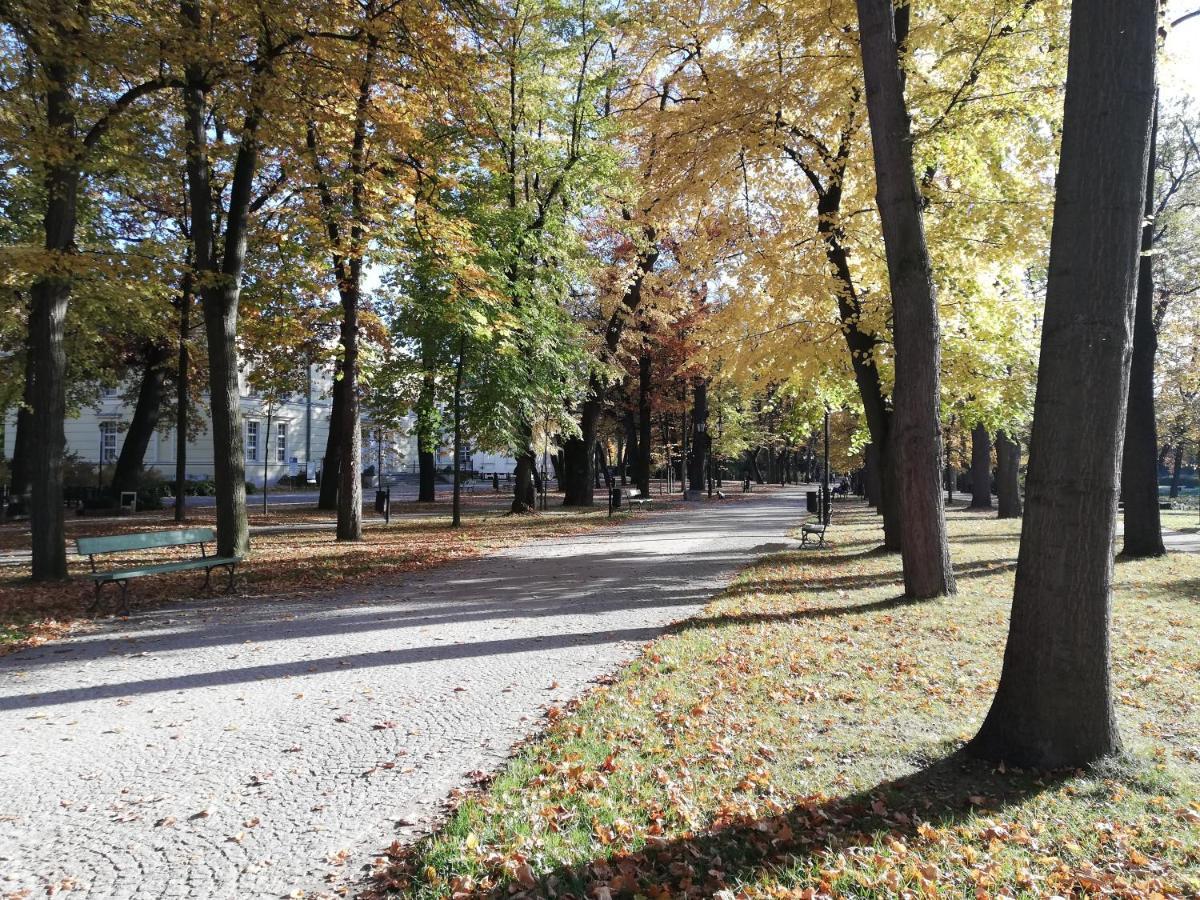Ferienwohnung Waniliowe Zacisze Jelenia Góra Exterior foto